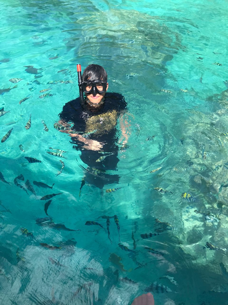 Snorkeling Pulau Redang